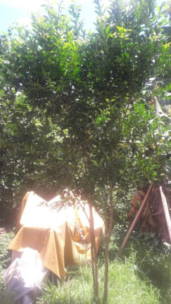 Imagem Imóvel com 2 Quartos à Venda, 80 m² em Campo Grande - Rio De Janeiro