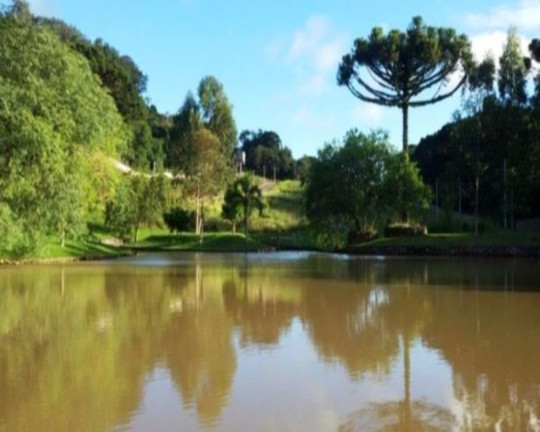 Imagem Imóvel à Venda, 762 m² em Linha Imperial - Nova Petrópolis