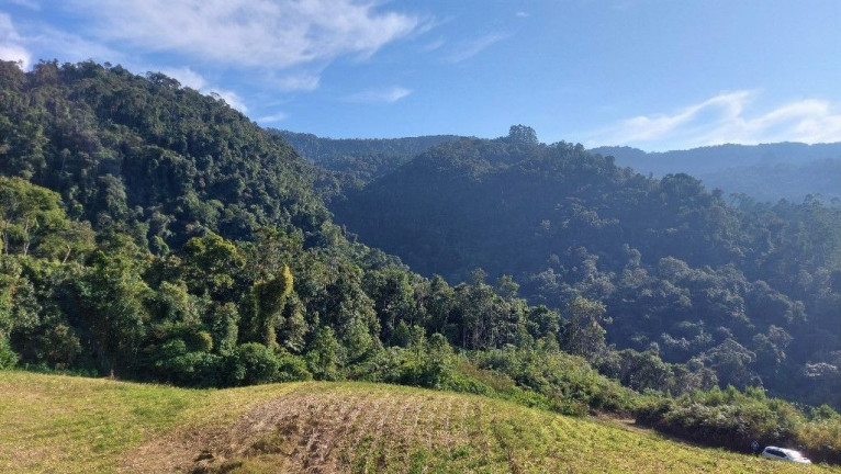 Imagem Terreno à Venda, 198.000 m² em Zona Rural - Presidente Nereu Imagem Terreno à Venda, 198.000 m² em Zona Rural - Presidente Nereu