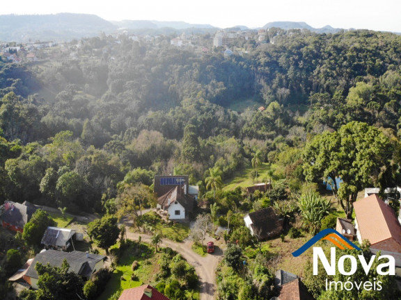 Imagem Fazenda à Venda,  em Centro - Nova Petrópolis