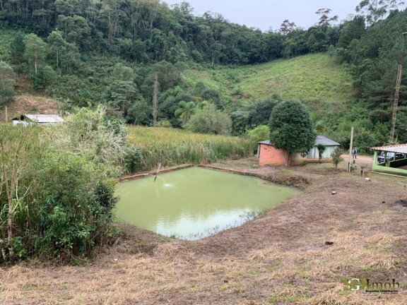 Imagem Chácara com 2 Quartos à Venda, 5.000 m² em Capinzal - Guapiara
