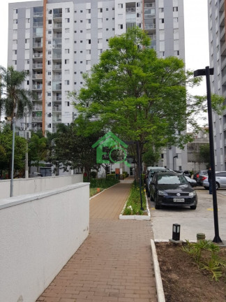 Imagem Apartamento com 3 Quartos à Venda, 70 m² em Cidade Ademar - São Paulo Imagem Apartamento com 3 Quartos à Venda, 70 m² em Cidade Ademar - São Paulo