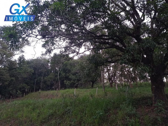 Terreno à Venda, 9.653 m² em Areias De Baixo - Ribeirão Das Neves