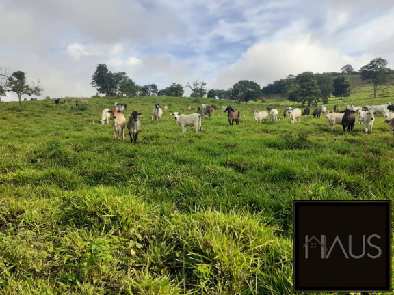 Imagem Chácara à Venda, 7.150.000.000 m² em Santo Hipólito Imagem Chácara à Venda, 7.150.000.000 m² em Santo Hipólito
