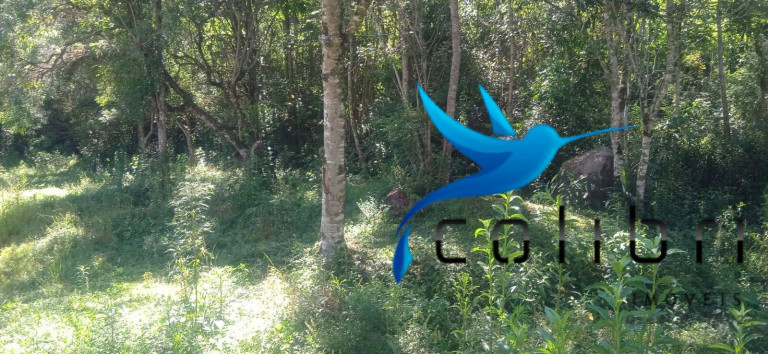 Imagem Chácara com 3 Quartos à Venda, 10.300 m² em Agua Clara - Quitandinha