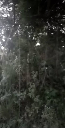 Imagem Terreno em Condomínio à Venda, 2 m² em Aldeia Dos Camarás - Camaragibe Imagem Terreno em Condomínio à Venda, 2 m² em Aldeia Dos Camarás - Camaragibe