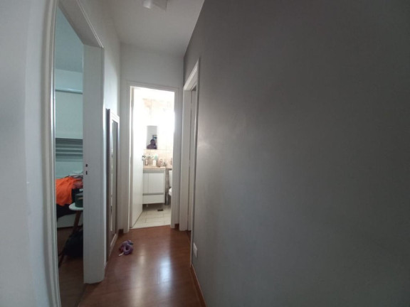 Imagem Apartamento com 2 Quartos à Venda, 60 m² em Butantã - São Paulo