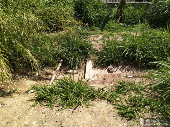 Imagem Terreno à Venda, 486 m² em Vila Gomes - São Paulo Imagem Terreno à Venda, 486 m² em Vila Gomes - São Paulo