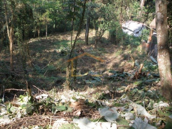 Terreno à Venda, 3.351 m² em Tucuruvi - São Paulo
