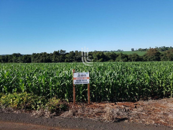 Imagem Fazenda à Venda, 10.649 m² em Cognópolis - Foz Do Iguacu