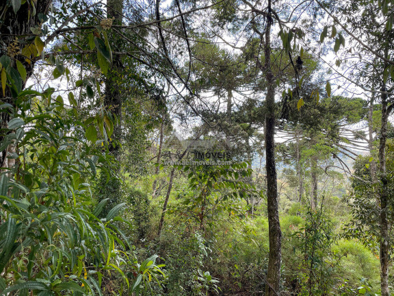 Imagem Terreno à Venda, 1 m² em Parque Aquarela - Campos Do Jordão Imagem Terreno à Venda, 1 m² em Parque Aquarela - Campos Do Jordão