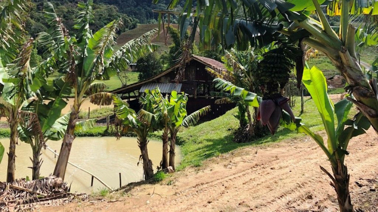 Imagem Imóvel com 3 Quartos à Venda, 30.000 m² em Zona Rural - Presidente Nereu