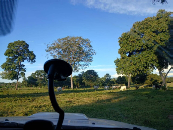 Imagem Chácara à Venda, 35 m² em Arapongas