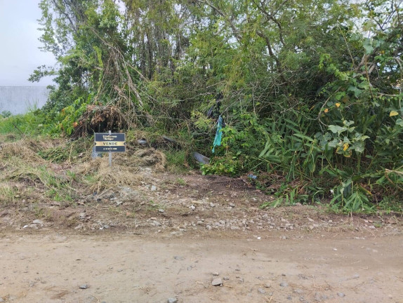 Imagem Terreno à Venda, 300 m² em Ubatuba - São Francisco Do Sul Imagem Terreno à Venda, 300 m² em Ubatuba - São Francisco Do Sul
