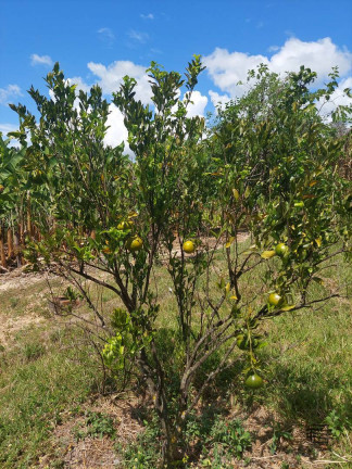 Imagem Chácara à Venda, em Rural - Sabará Imagem Chácara à Venda, em Rural - Sabará