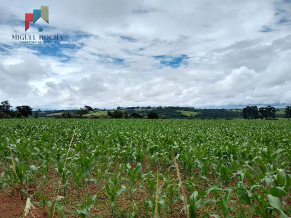 Imóvel com 1 Quarto à Venda, 484.000 m² em Centro - Tatuí