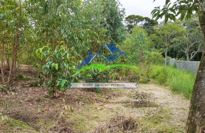 Imagem Chácara com 3 Quartos à Venda, 5.900 m² em Terra Preta - Mairiporã Imagem Chácara com 3 Quartos à Venda, 5.900 m² em Terra Preta - Mairiporã