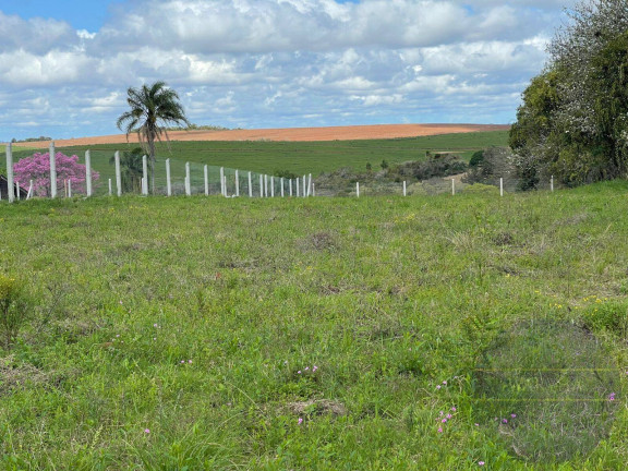 Imagem Terreno à Venda, 1 m² em Gravataí Imagem Terreno à Venda, 1 m² em Gravataí