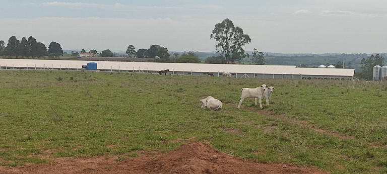 Imagem Chácara com 3 Quartos à Venda, 774 m² em Zona Rural - Alambari