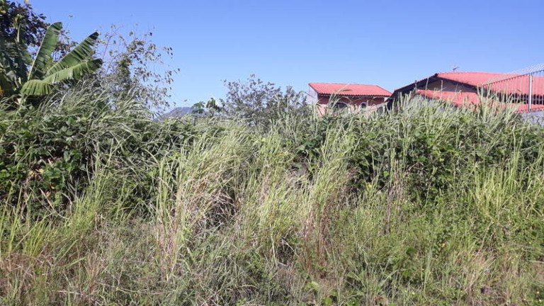 Imagem Terreno à Venda, 360 m² em Cidade Nova Peruíbe - Peruíbe Imagem Terreno à Venda, 360 m² em Cidade Nova Peruíbe - Peruíbe