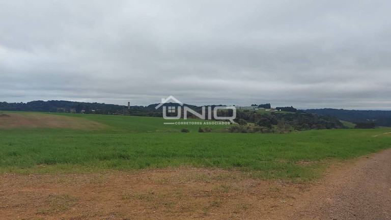 Imagem Fazenda à Venda, em Palmas Imagem Fazenda à Venda, em Palmas