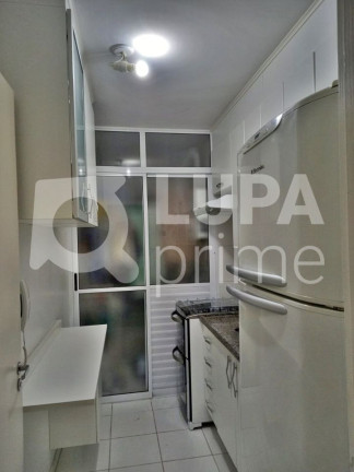 Imagem Apartamento com 3 Quartos à Venda, 64 m² em Vila Guilherme - São Paulo