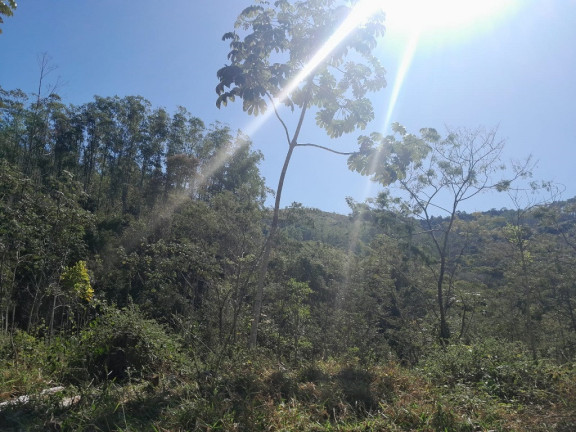 Imagem Imóvel à Venda,  em Centro - Lorena