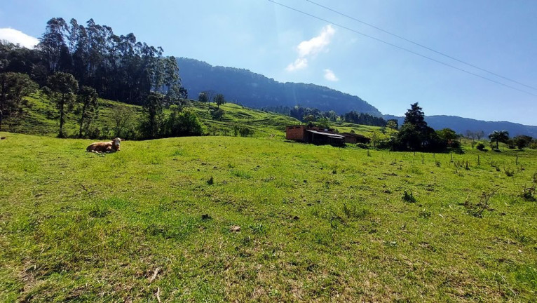 Imagem Imóvel com 3 Quartos à Venda, 100.000 m² em Zona Rural - Agrolândia