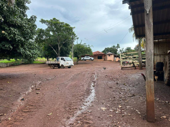 Imagem Fazenda à Venda, em Campinápolis Imagem Fazenda à Venda, em Campinápolis