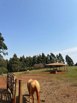 Imagem Chácara à Venda, 26.680 m² em Campinho - Arapongas