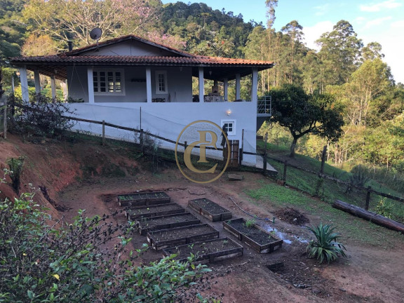 Imagem Chácara com 6 Quartos à Venda, em Centro - São José Dos Campos Imagem Chácara com 6 Quartos à Venda, em Centro - São José Dos Campos