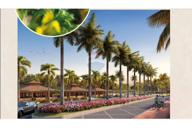 Imagem Terreno à Venda, 800 m² em Praia Do Forte - Mata De São João Imagem Terreno à Venda, 800 m² em Praia Do Forte - Mata De São João