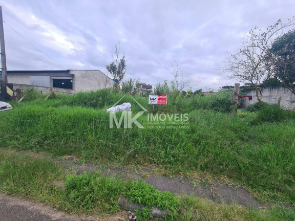 Imagem Terreno à Venda, em Planta Araçatuba - Piraquara Imagem Terreno à Venda, em Planta Araçatuba - Piraquara