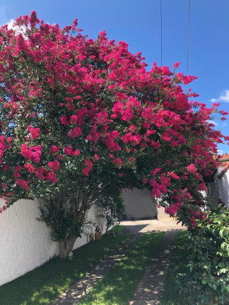 Imagem Casa com 3 Quartos à Venda, 130 m² em Santana - Pindamonhangaba