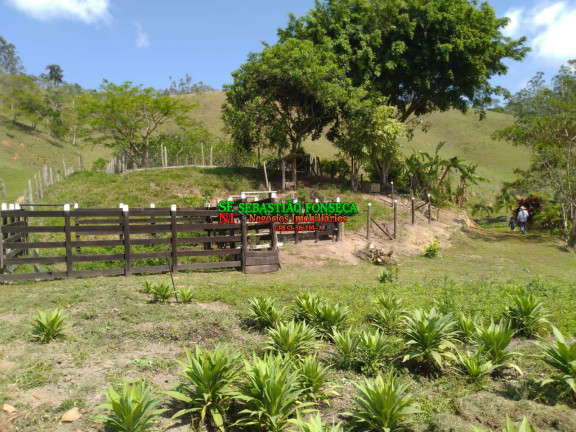 Imagem Chácara com 3 Quartos à Venda, 31.573 m² em Monteiro Lobato Imagem Chácara com 3 Quartos à Venda, 31.573 m² em Monteiro Lobato