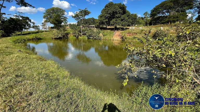 Fazenda à Venda, 46 m² em Setor Central - Nazário