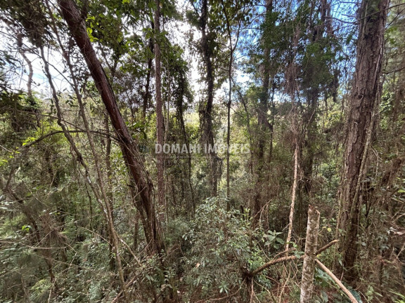 Imagem Terreno à Venda, 5.820 m² em Região Do Parque Da água Santa - Campos Do Jordão
