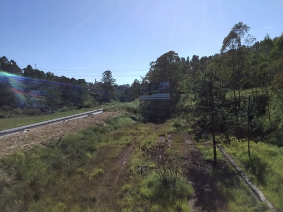 Imagem Terreno à Venda, 320.000 m² em Terra Preta (terra Preta) - Mairiporã