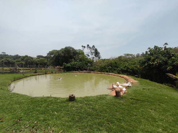 Imagem Chácara com 3 Quartos à Venda, 5.000 m² em Margens Da Raposo Tvares - Alambari Imagem Chácara com 3 Quartos à Venda, 5.000 m² em Margens Da Raposo Tvares - Alambari