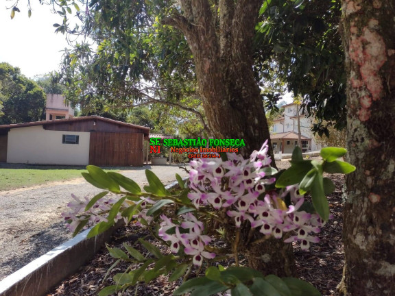 Imagem Chácara com 5 Quartos à Venda, 6.160 m² em Centro - Paraibuna Imagem Chácara com 5 Quartos à Venda, 6.160 m² em Centro - Paraibuna