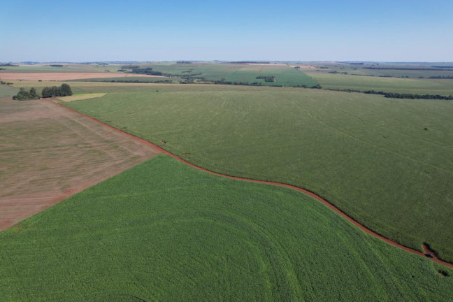 Imagem Fazenda à Venda, 540 m² em Zona Rural - Munhoz De Melo
