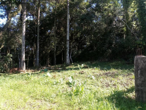 Imagem Terreno à Venda, 680 m² em Vale Verde - Nova Petrópolis Imagem Terreno à Venda, 680 m² em Vale Verde - Nova Petrópolis