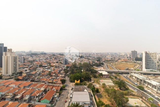Imagem Apartamento com 3 Quartos à Venda, 109 m² em Jardim Aeroporto - São Paulo Imagem Apartamento com 3 Quartos à Venda, 109 m² em Jardim Aeroporto - São Paulo