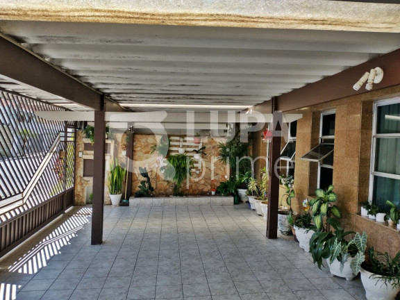 Imagem Casa com 4 Quartos à Venda, 173 m² em Jardim Guanca - São Paulo Imagem Casa com 4 Quartos à Venda, 173 m² em Jardim Guanca - São Paulo