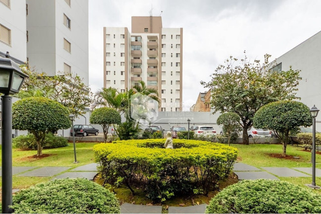Imagem Apartamento com 3 Quartos à Venda, 61 m² em Vila Santa Catarina - São Paulo