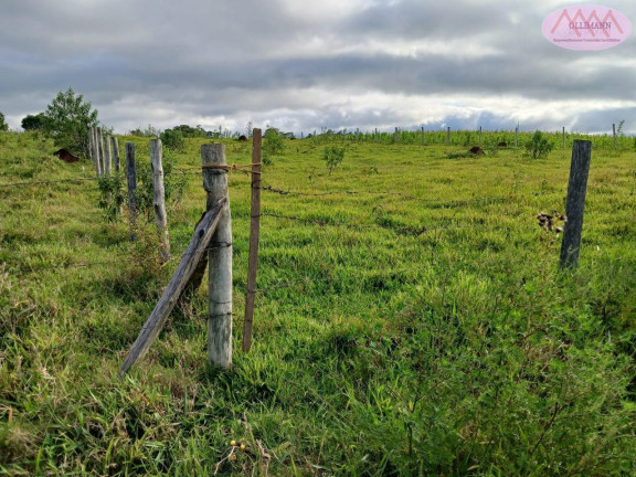 Imagem Terreno à Venda, 3.000 m² em Bairro Boco Guarei - Itapetininga Imagem Terreno à Venda, 3.000 m² em Bairro Boco Guarei - Itapetininga