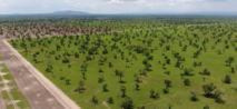 Imagem Fazenda à Venda, 3.100 m² em Rural - Porto Alegre Do Norte Imagem Fazenda à Venda, 3.100 m² em Rural - Porto Alegre Do Norte