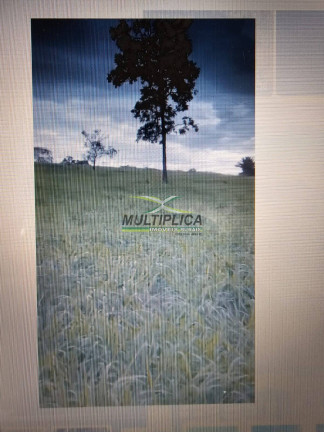 Imagem Fazenda à Venda, 179 m² em Frutal Imagem Fazenda à Venda, 179 m² em Frutal