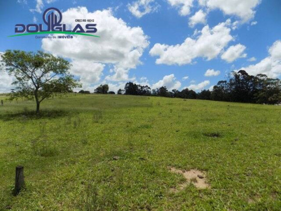 Imagem Chácara com 2 Quartos à Venda, 190.000 m² em Viamão Imagem Chácara com 2 Quartos à Venda, 190.000 m² em Viamão