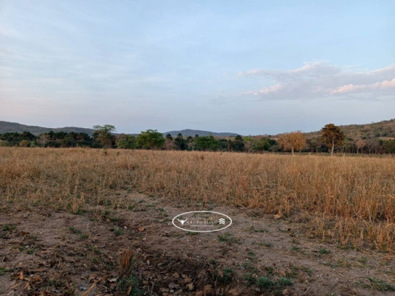 Imagem Fazenda à Venda, 75 m² em Zona Rural - Itapirapuã Imagem Fazenda à Venda, 75 m² em Zona Rural - Itapirapuã